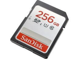 SanDisk 256GB SDXC U1 C10 OEM - Foto1
